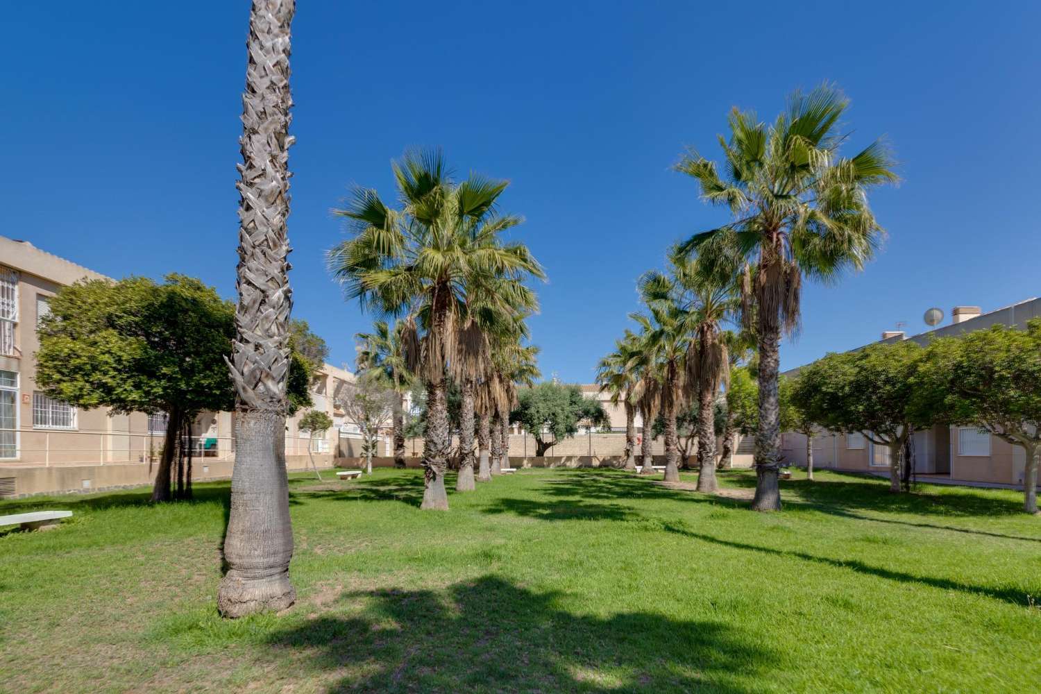 Semi-detached house in Aguas Nuevas TORREVIEJA