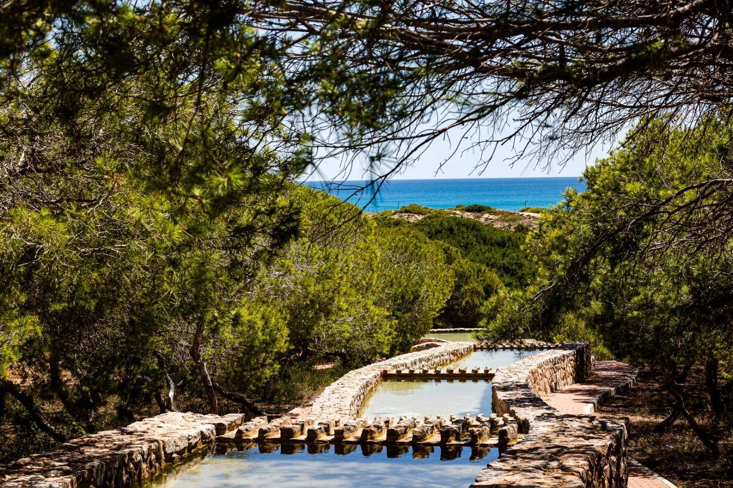 Casa de 3 dormitorios y piscina en Torrevieja (Torreblanca)