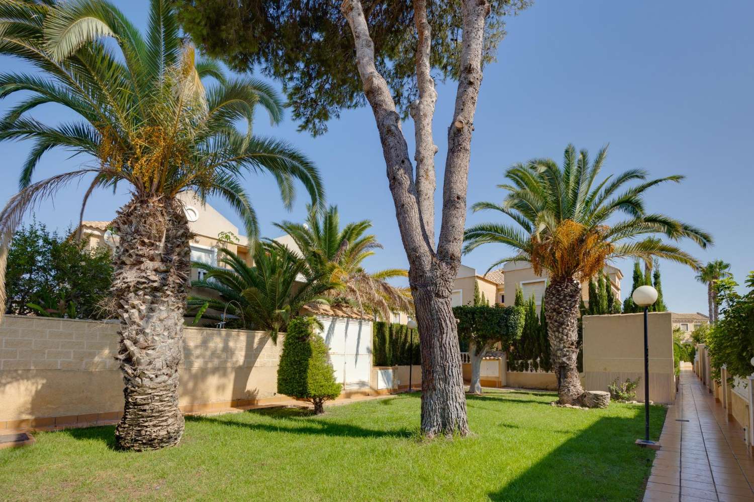 Casa con 3 camere da letto e piscina a Torrevieja (Torreblanca)