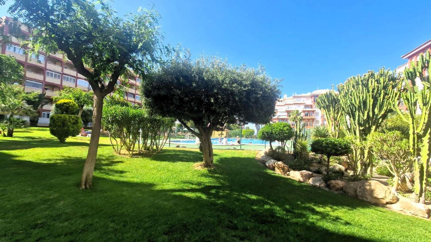 Apartamento de 3 dormitorios y piscina, garaje - Torrevieja (Torreblanca)